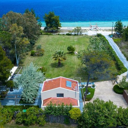 Tiamo Secrets - Palm Garden Villa Vourvourou Eksteriør bilde