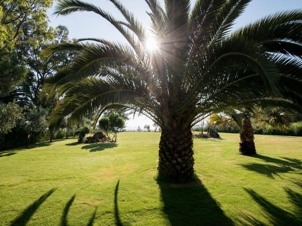 Tiamo Secrets - Palm Garden Villa Vourvourou Eksteriør bilde